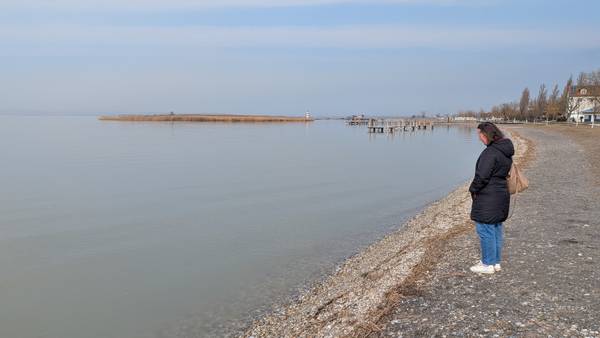 Neziderské jezero
